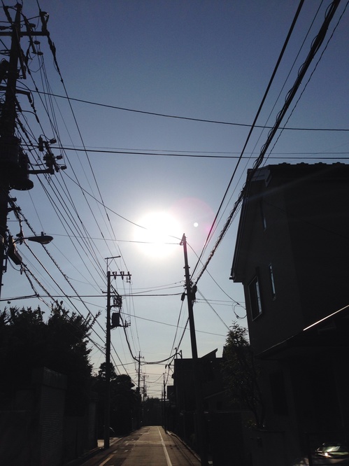 c5e15a5cf04d7b0c7827a2868bc35565d71df6f2.jpg